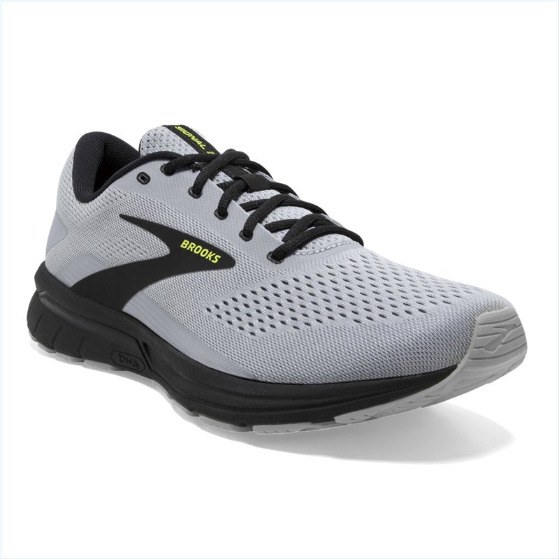  Signal 3 :48 Grey/Black/Evening Primrose