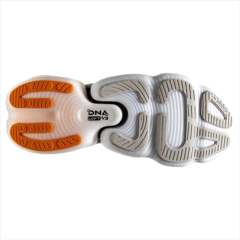 Aurora-BL :79 Grey/Orange/Black