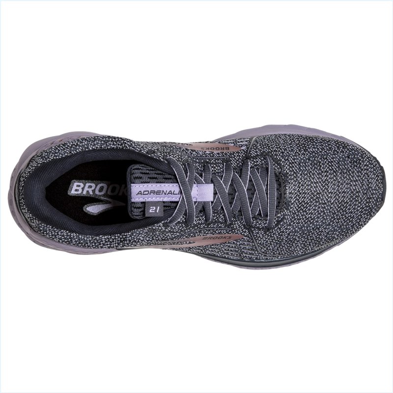  Adrenaline GTS 21 :528 Ombre/Lavender/Metallic