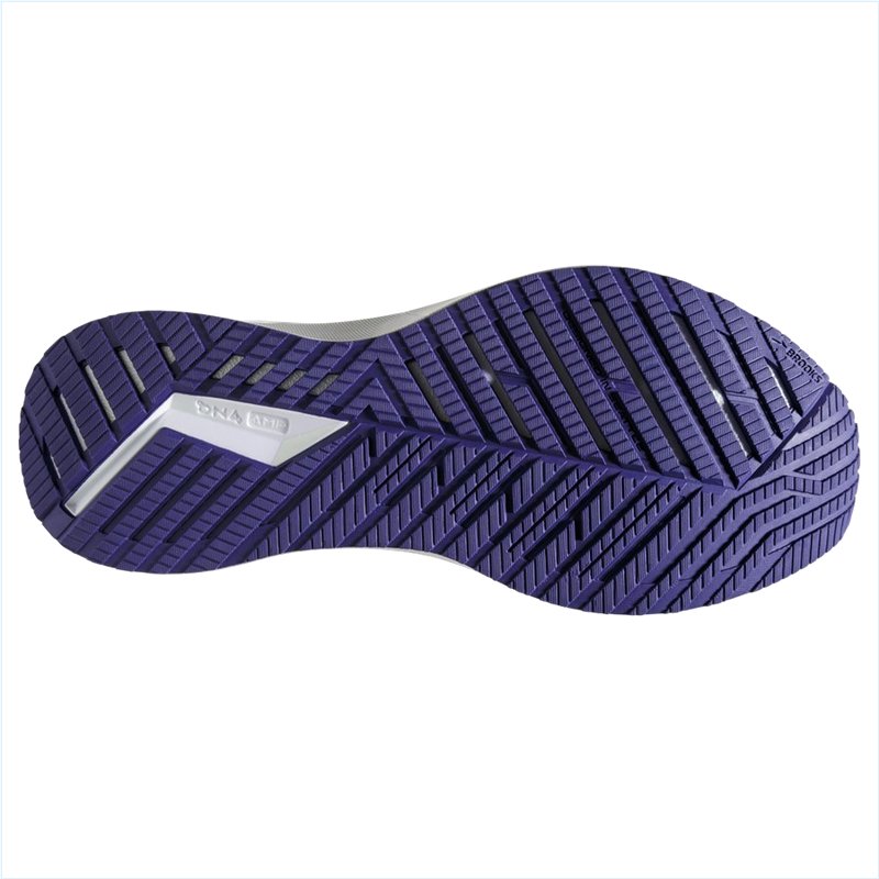  Levitate StealthFit GTS 5 :127 White/Navy Blue/Yucca