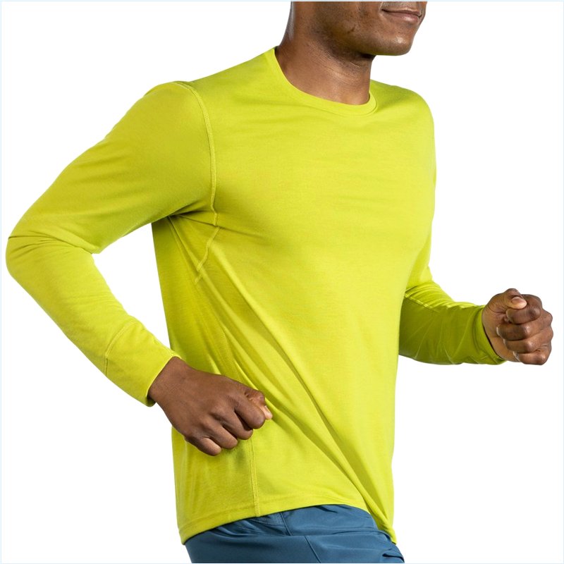  Distance Long Sleeve : 359 Bright Moss
