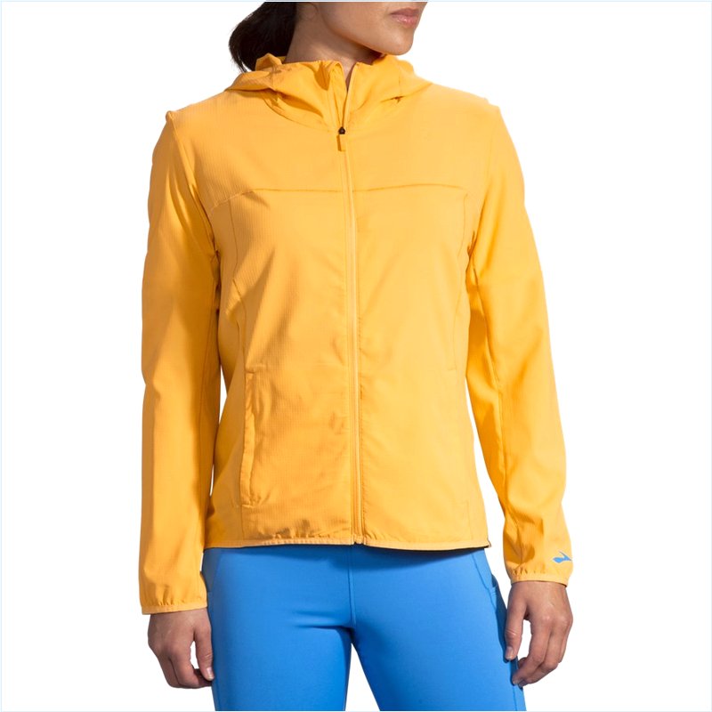  Canopy Jacket : 744 Saffron