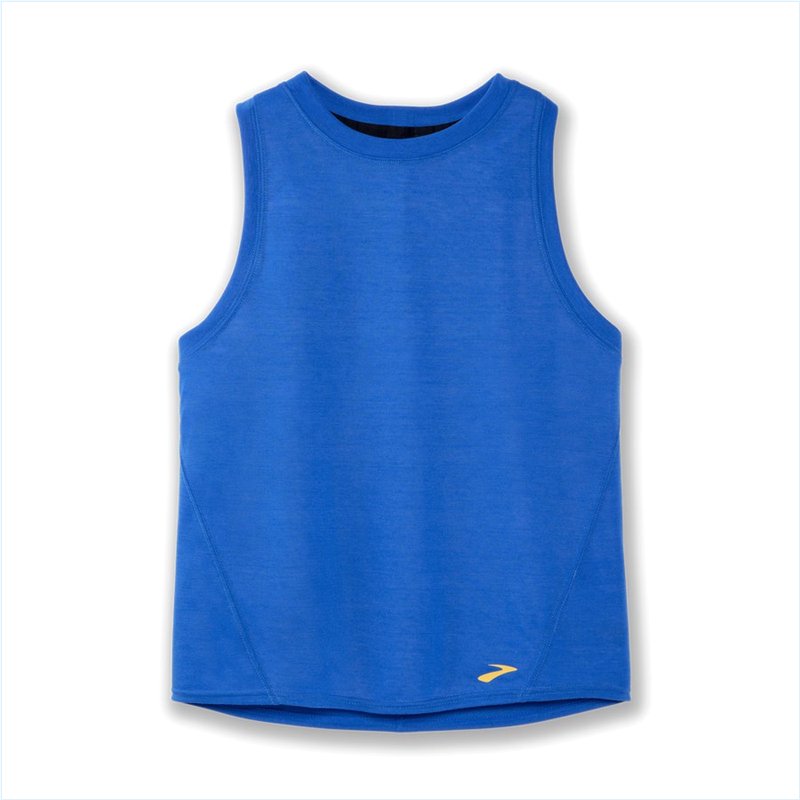  Distance Tank : 480 Blue Bolt