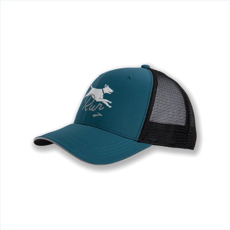  Discovery Trucker Hat : 438 Alpine/Dog Gone Run