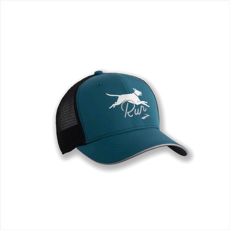  Discovery Trucker Hat : 438 Alpine/Dog Gone Run