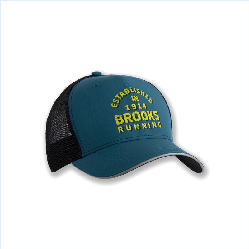  Discovery Trucker Hat : 490 Alpine/Brooks Running